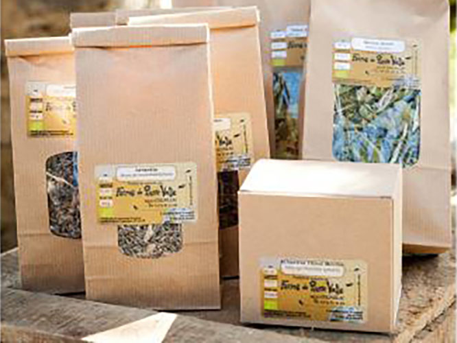 plantes_aromatiques_ferme_de_pierre_vieillee (1)